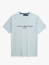 Brandahub T-shirts premium th embroidery t-shirt sky blue
