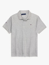Brandahub polo shirts Th polo small flag-heather grey