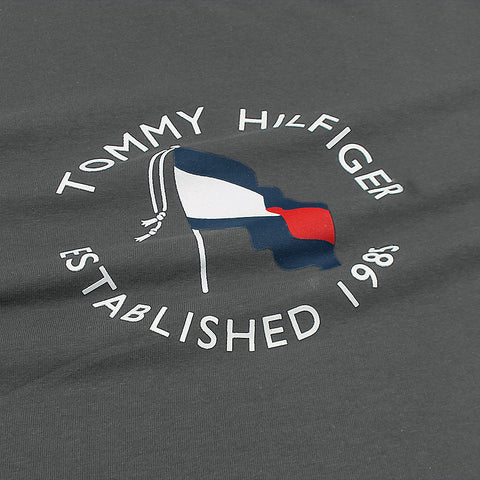 TH Printed tshirt-grey