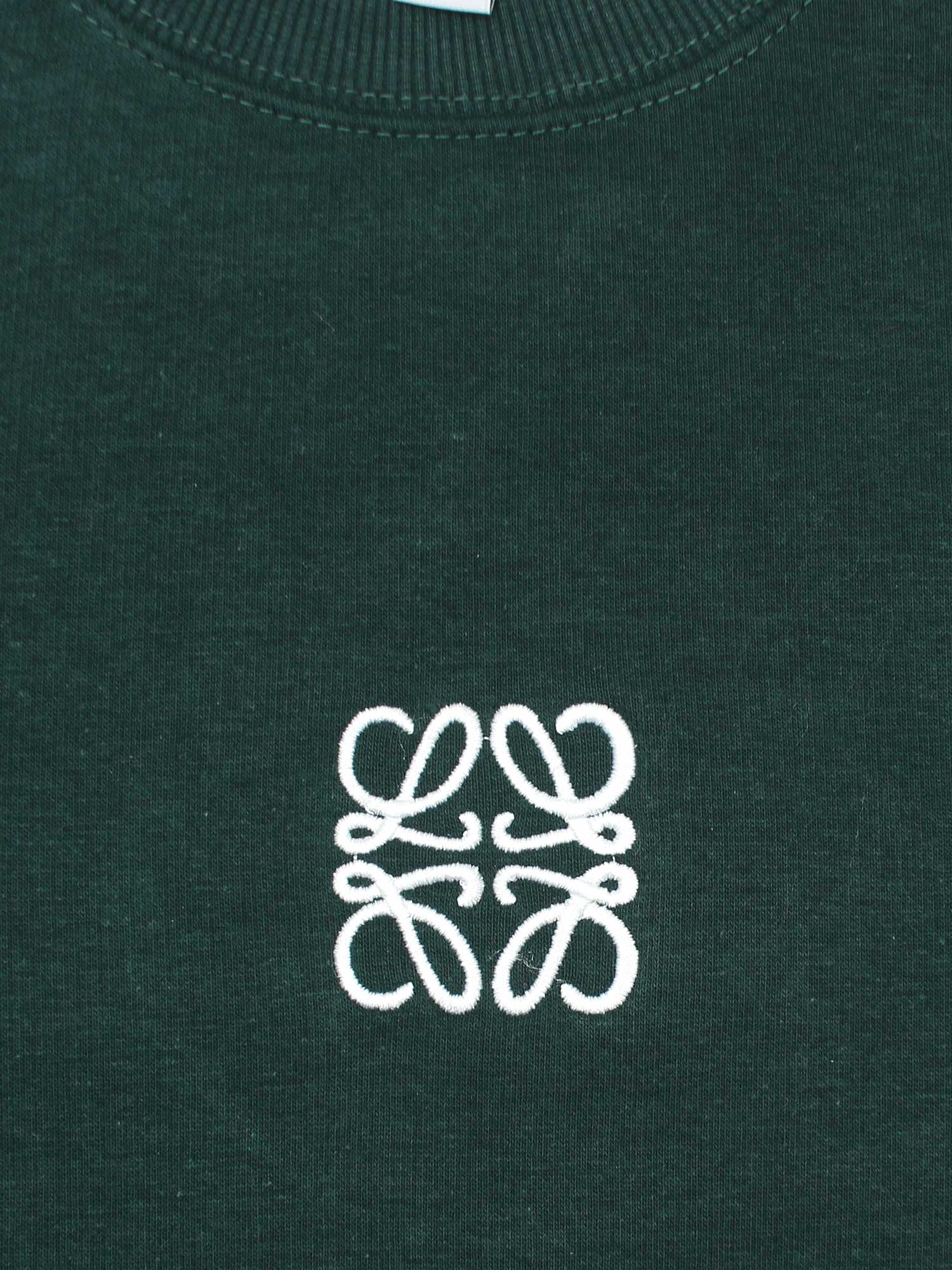 The Lw Fleece Sweatshirt (green) unisex