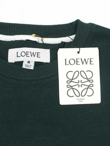 The Lw Fleece Sweatshirt (green) unisex