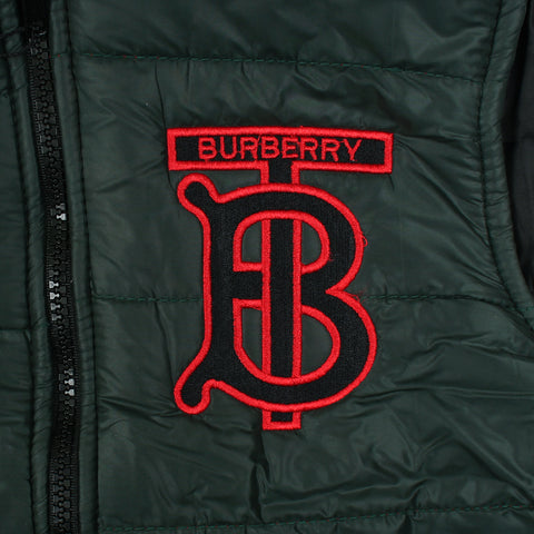 Tb green puffer