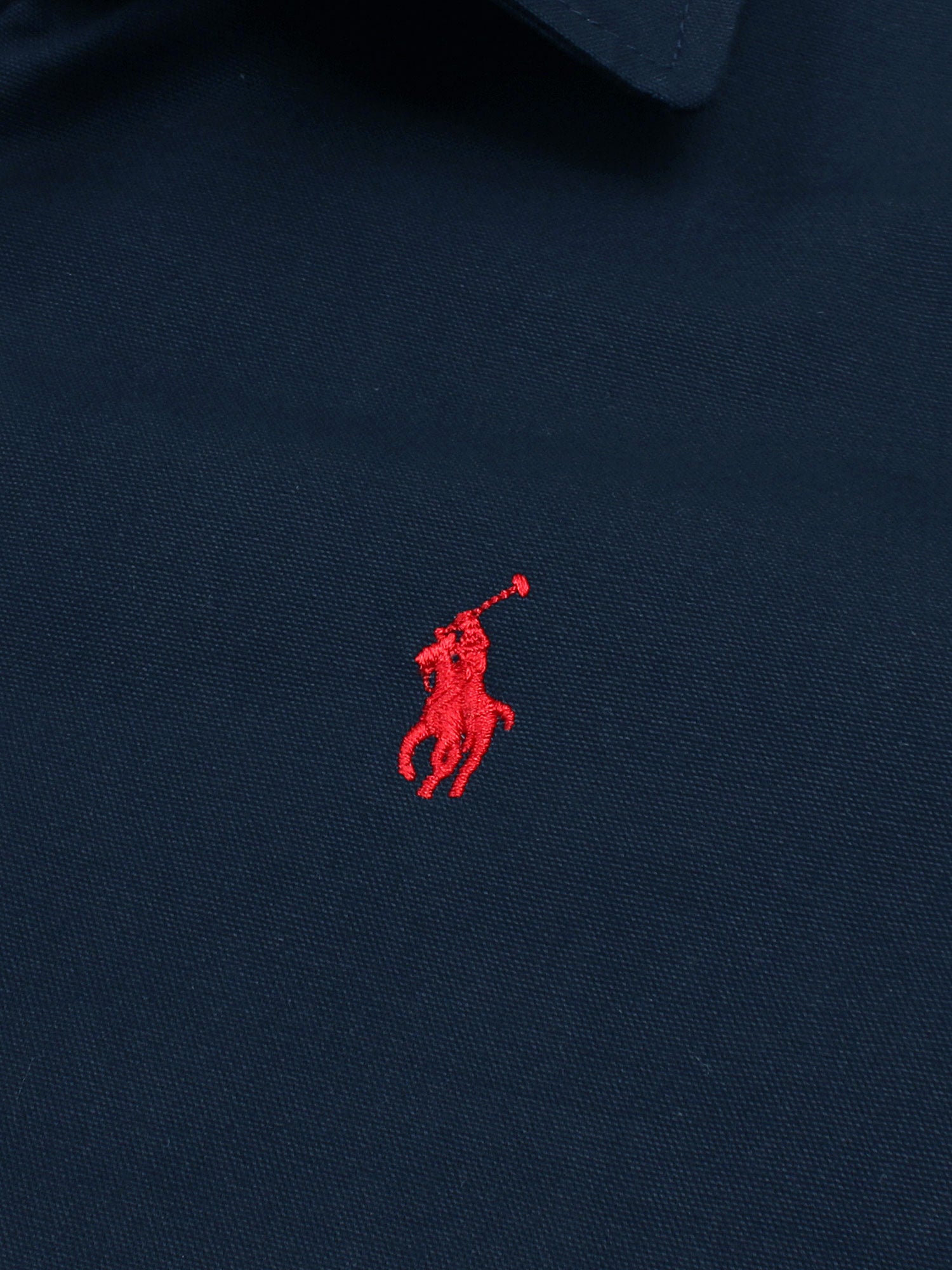 PRL Cotton Twill Jacket (collar) (Navy blue) - brandahub