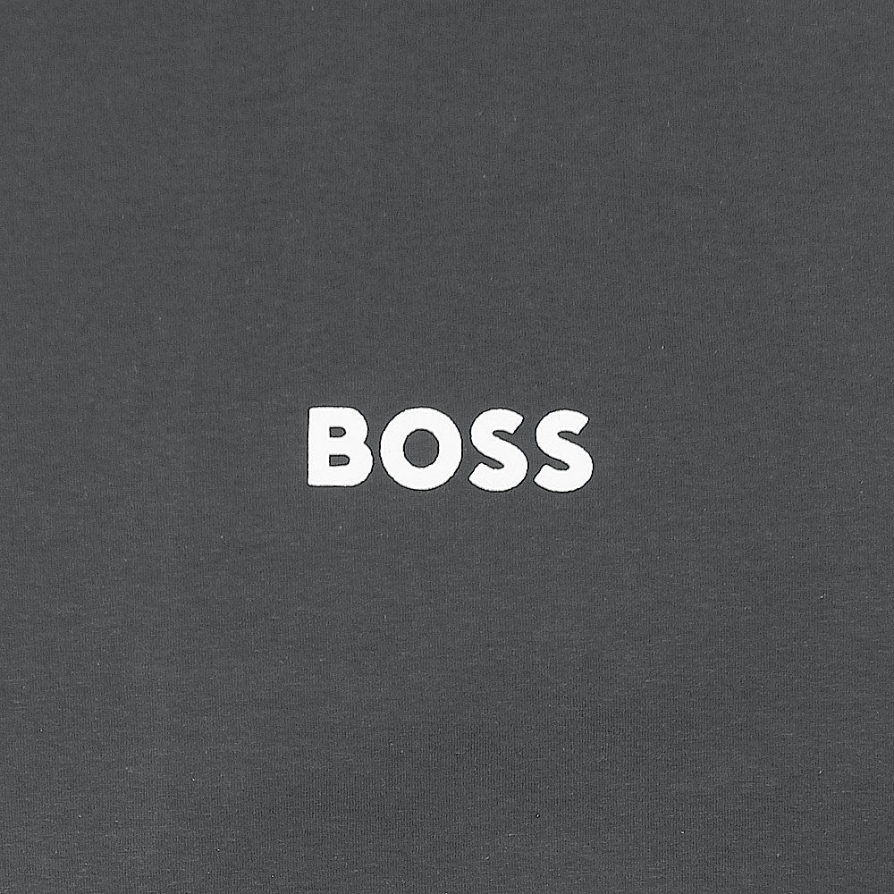 HB Printed tshirt-grey