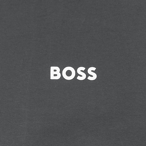 HB Printed tshirt-grey