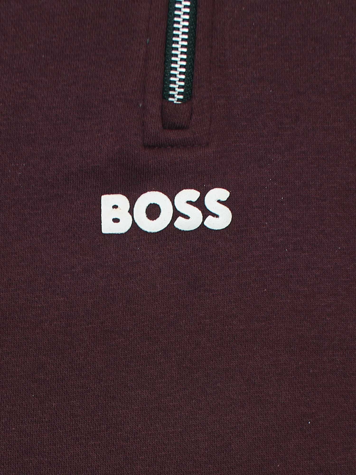 Bs Fleece Sweatshirt (maroon)