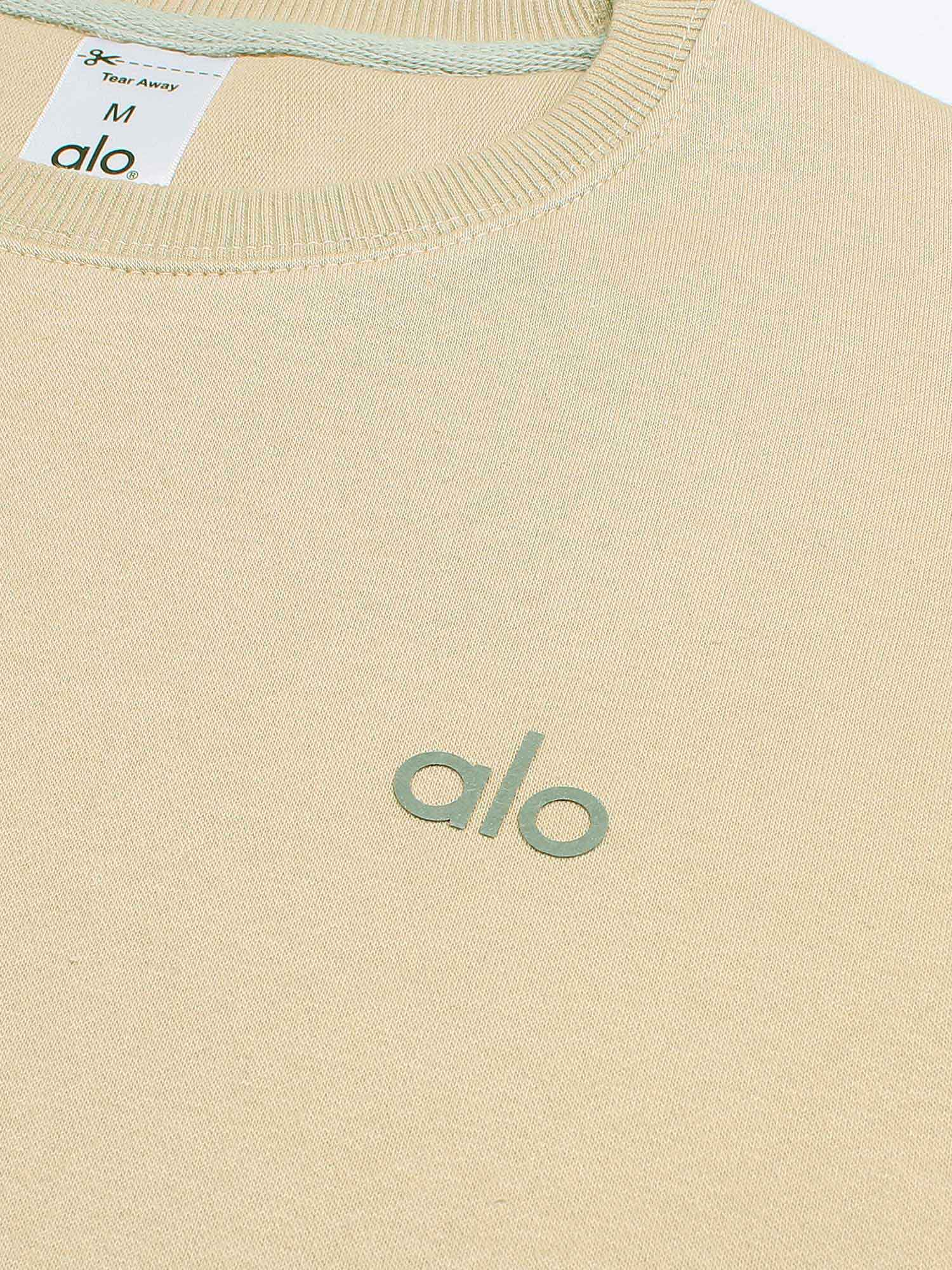 Brandahub sweartshirts The Ao Fleece Sweatshirt (Beige) unisex