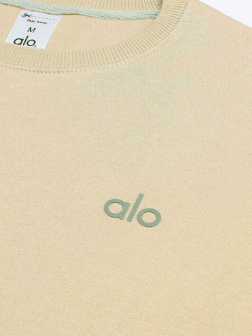 Brandahub sweartshirts The Ao Fleece Sweatshirt (Beige) unisex