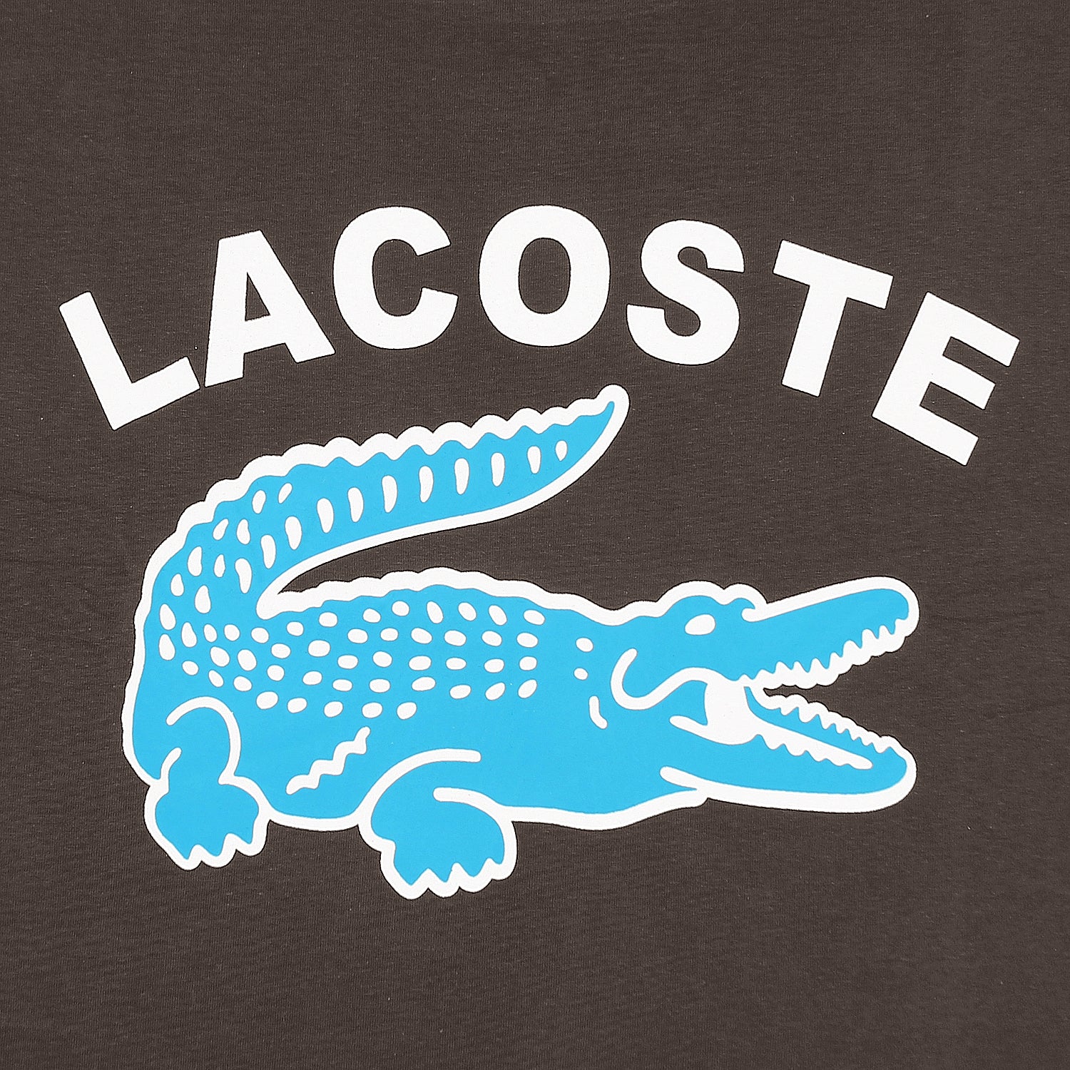 LST T Shirt-BROWN