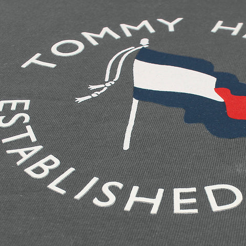 TH Printed tshirt-grey