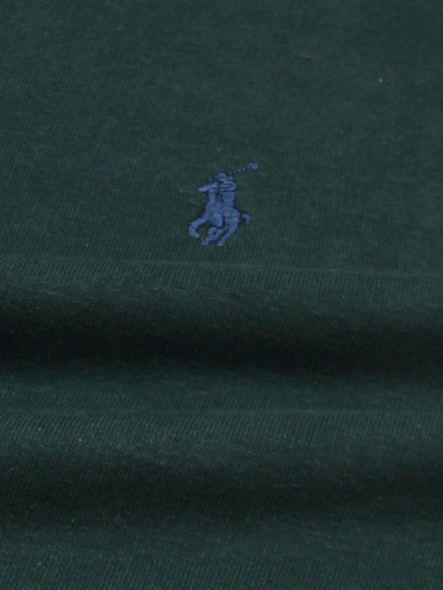 The RL Fleece Sweatshirt (green) unisex
