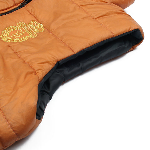 BL golden puffer - brandahub