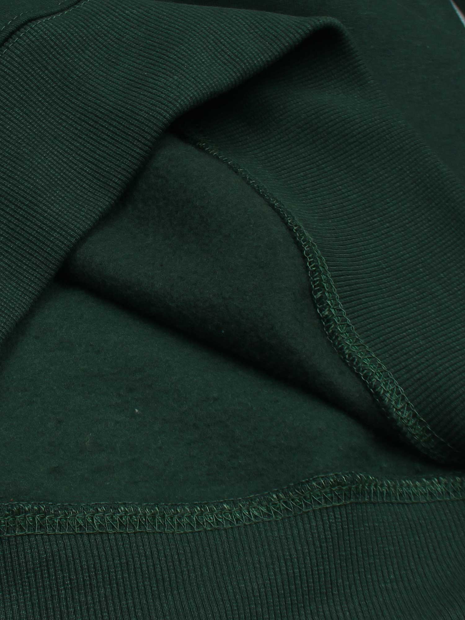 The LP Fleece Sweatshirt (green) unisex