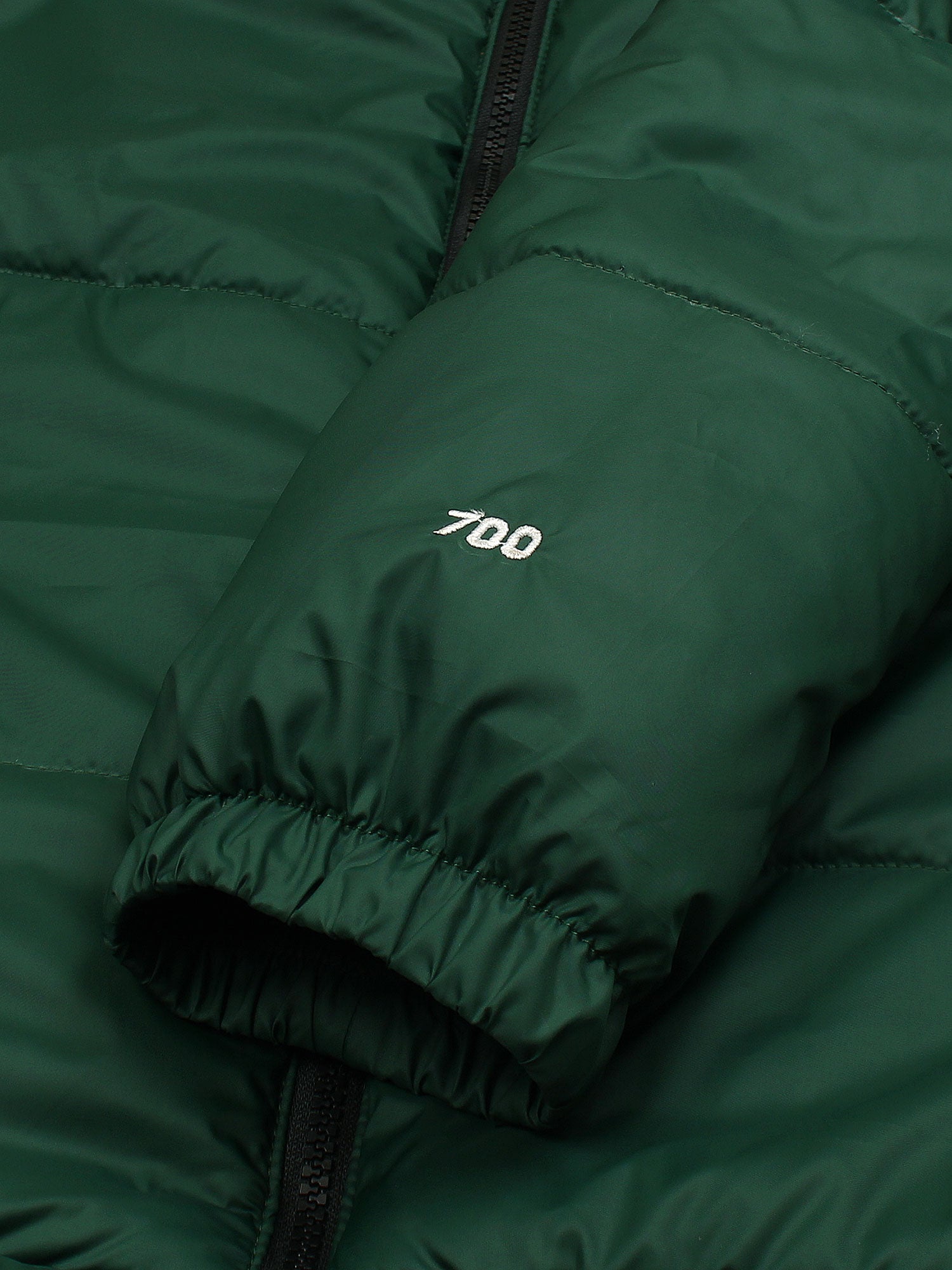 Tnf PUFFER (green)