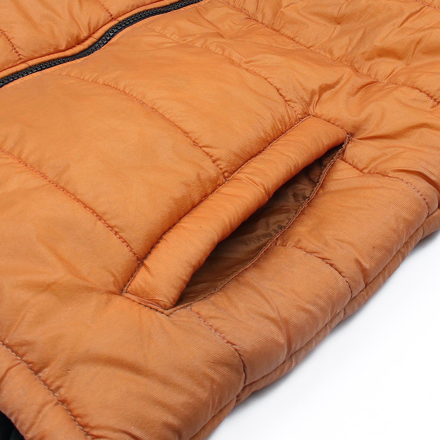 BL golden puffer - brandahub