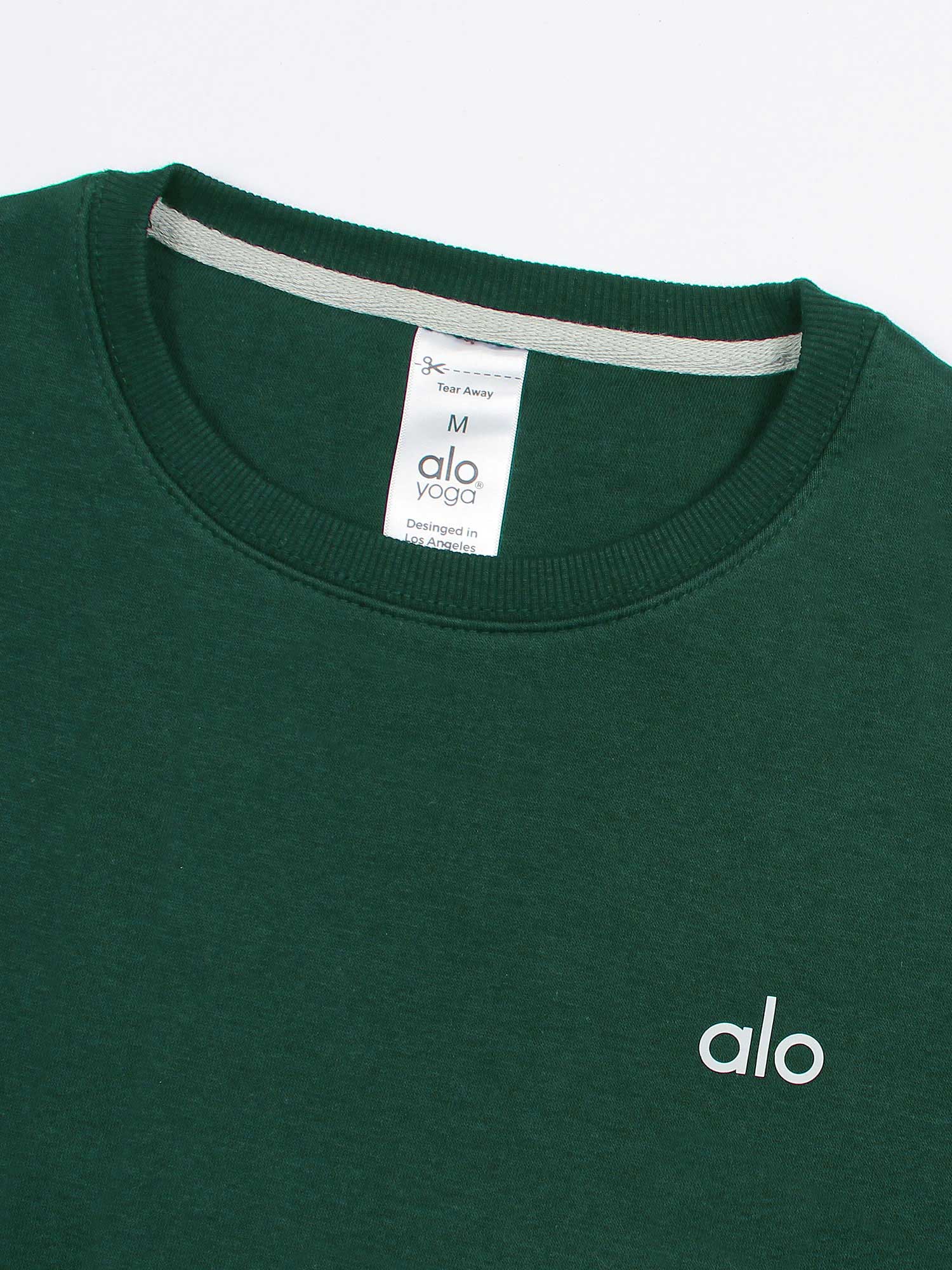 Brandahub sweartshirts The Ao Fleece Sweatshirt (green) unisex