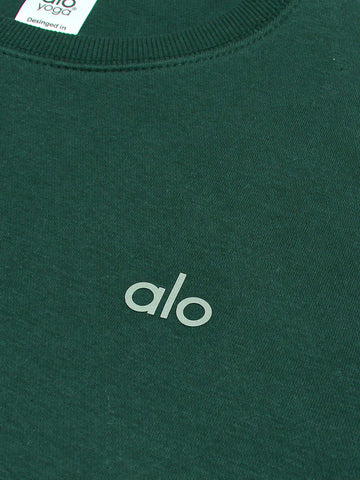 Brandahub sweartshirts The Ao Fleece Sweatshirt (green) unisex