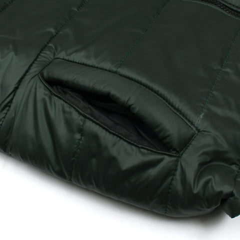 Tb green puffer