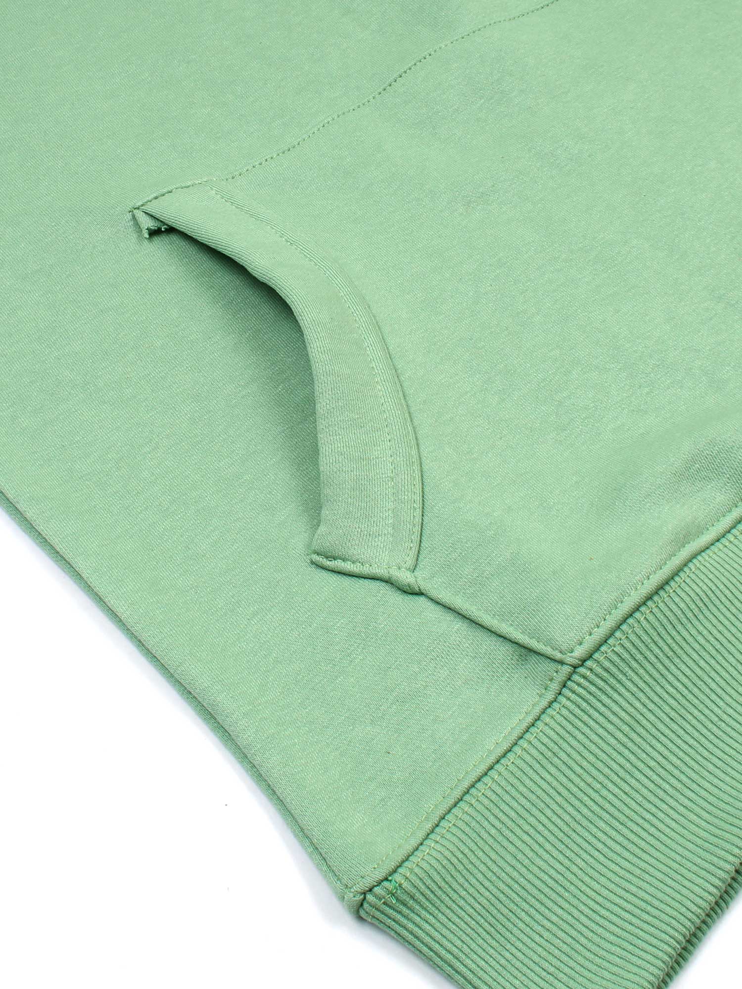 The RL Polo Fleece Sweatshirt (sea green)