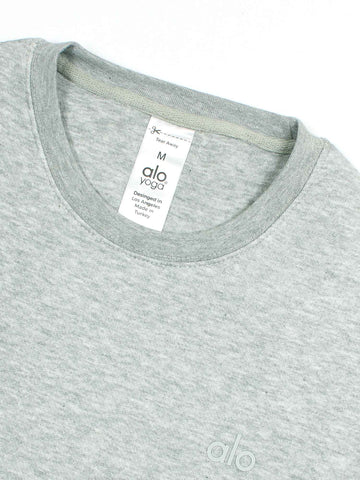 Brandahub sweartshirts The Ao Fleece Sweatshirt (heather grey) unisex