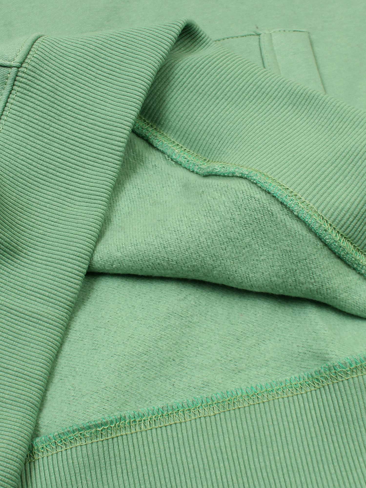 The RL Polo Fleece Sweatshirt (sea green)