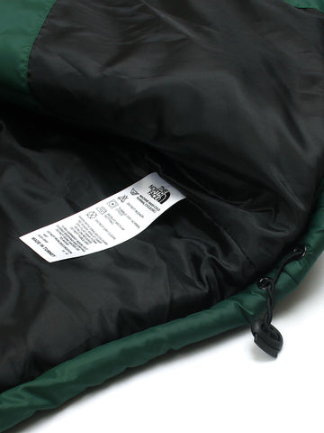 Tnf PUFFER (green)